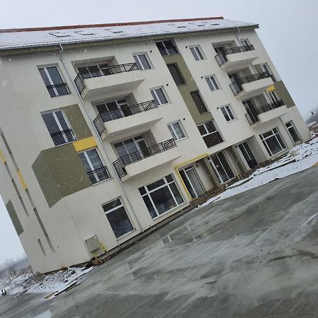Luxury Apartment Satu Mare Dış mekan fotoğraf
