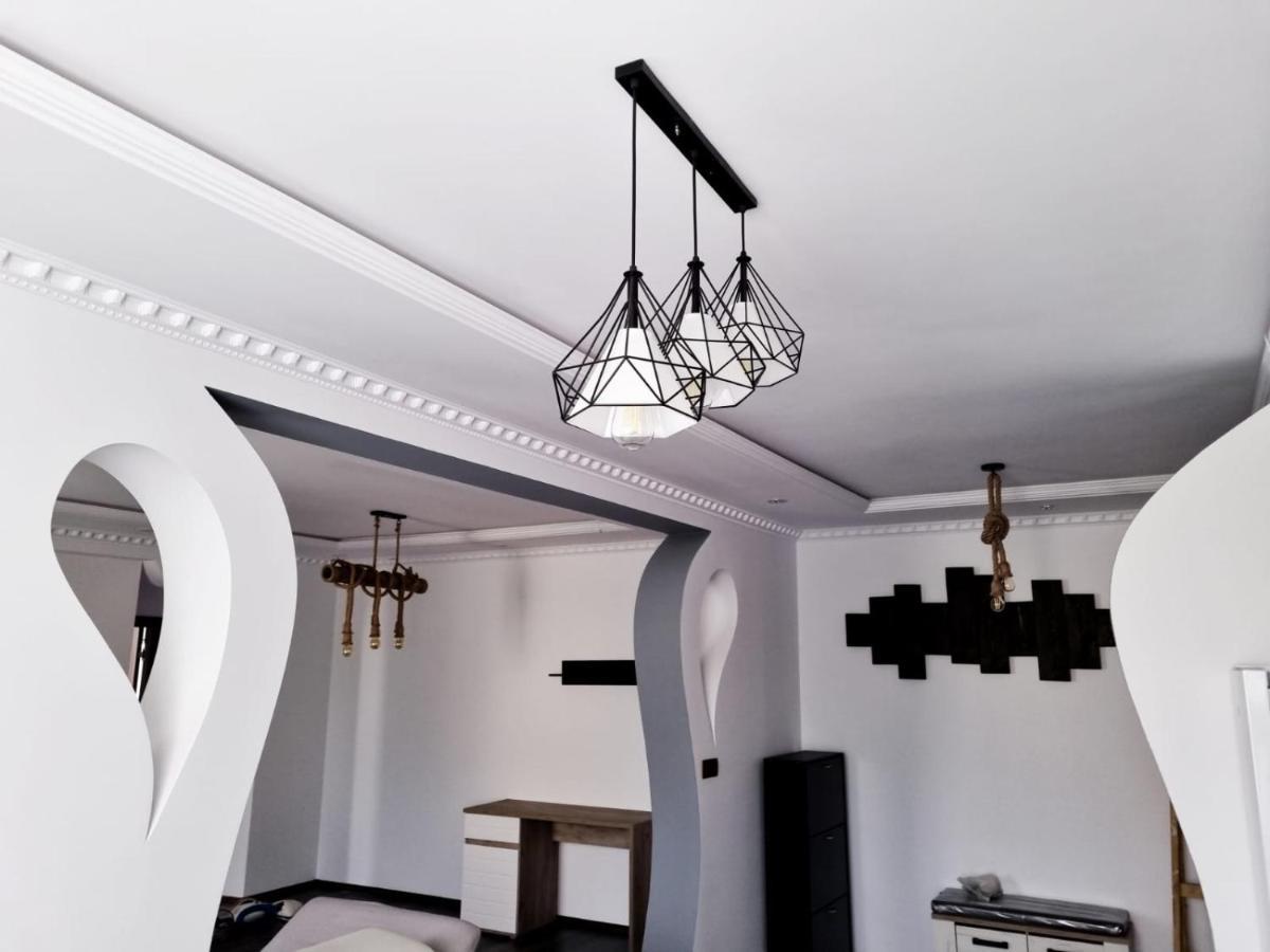 Luxury Apartment Satu Mare Dış mekan fotoğraf