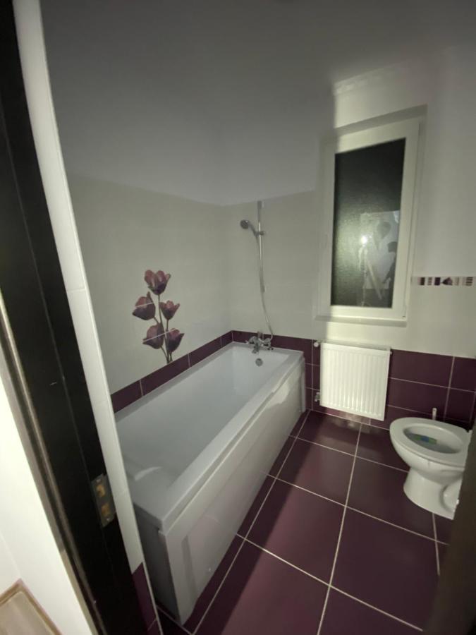 Luxury Apartment Satu Mare Dış mekan fotoğraf