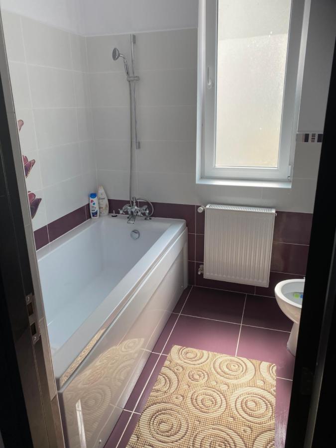Luxury Apartment Satu Mare Dış mekan fotoğraf