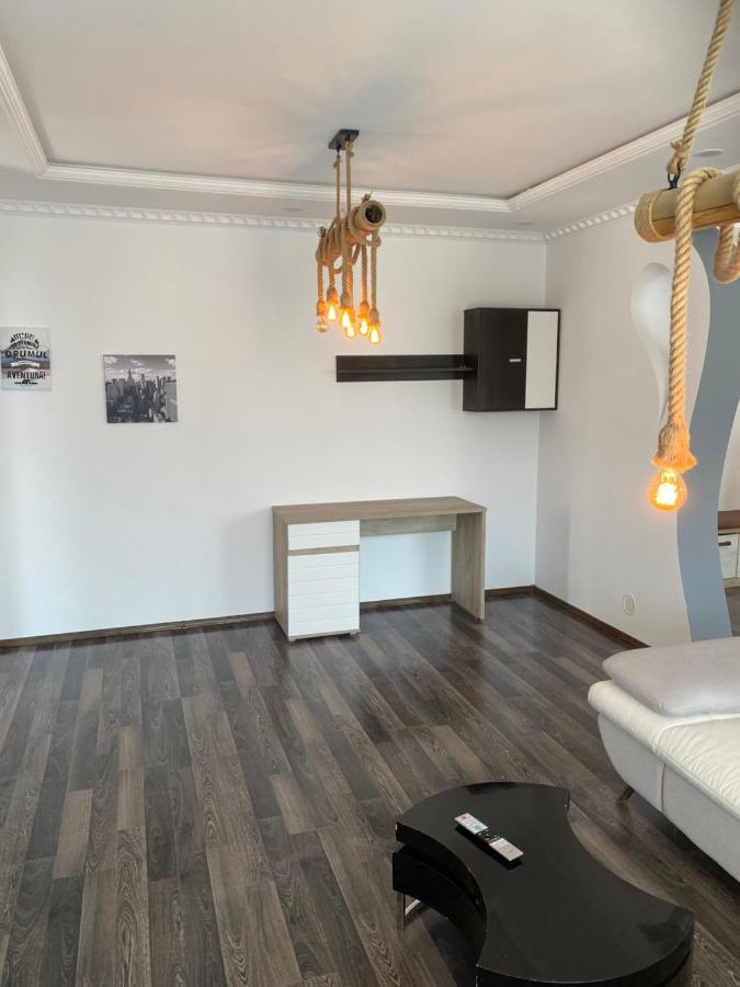 Luxury Apartment Satu Mare Dış mekan fotoğraf