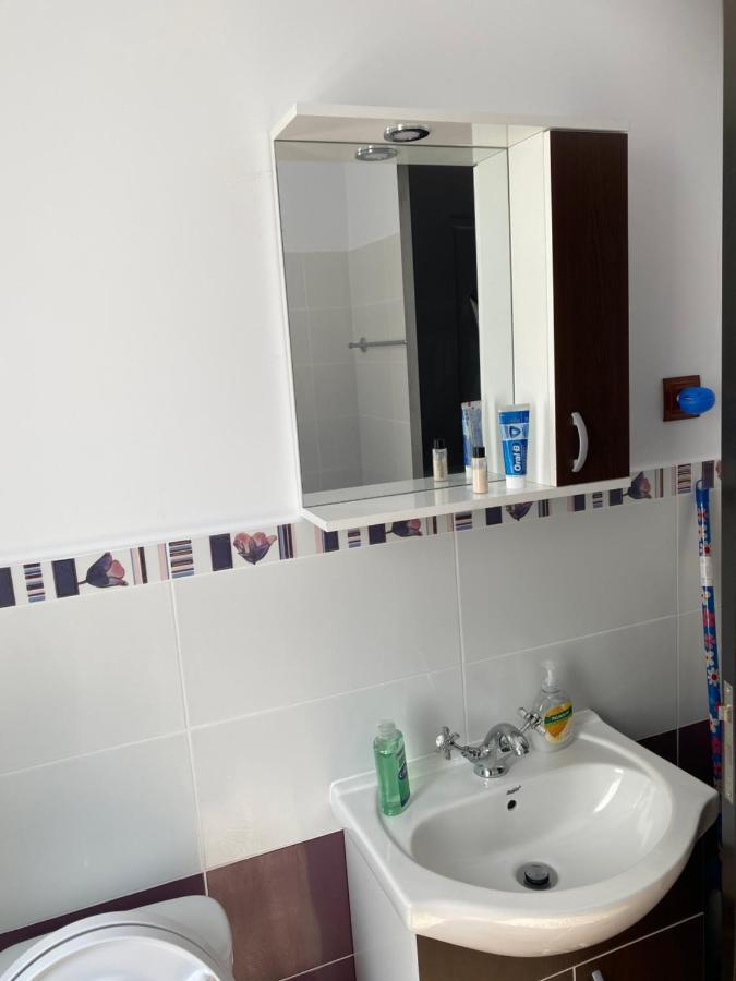 Luxury Apartment Satu Mare Dış mekan fotoğraf